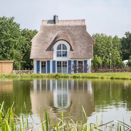 Nyaraló Schilfrohrsaenger 28 *