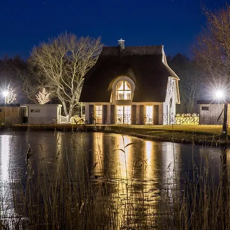 Schilfrohrsaenger 28 Nyaraló