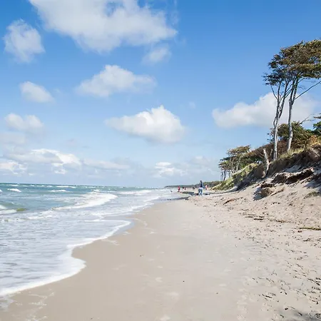 Nyaraló Schilfrohrsaenger 28