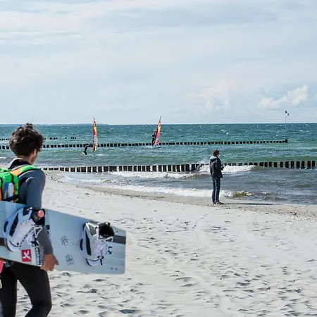 Nyaraló Schilfrohrsaenger 28 *