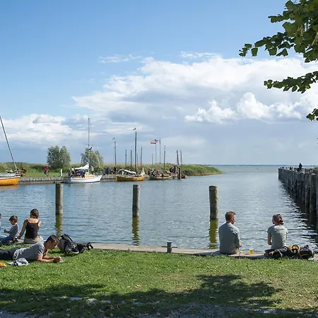 Schilfrohrsaenger 28 * Fuhlendorf