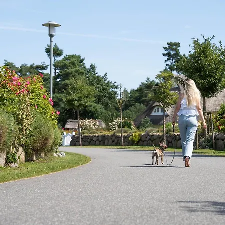 Schilfrohrsaenger 28 Nyaraló *