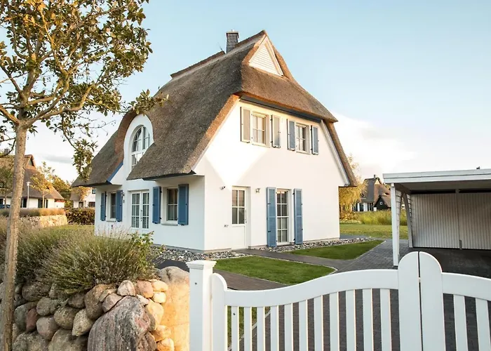 Schilfrohrsaenger 28 *