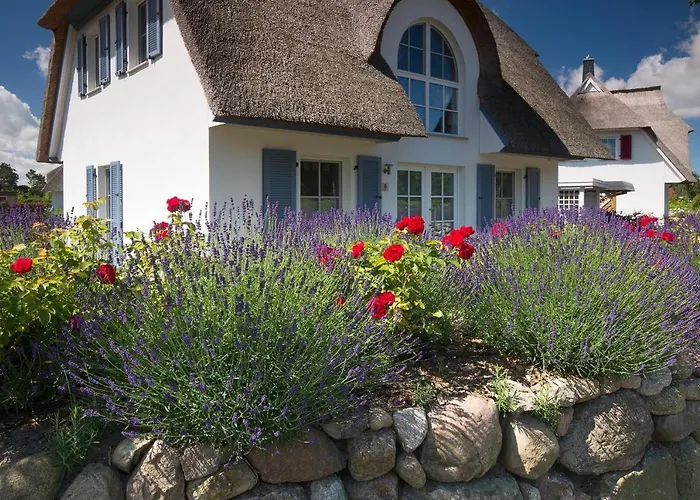 Schilfrohrsaenger 28 * Fuhlendorf (Mecklenburg-Vorpommern)