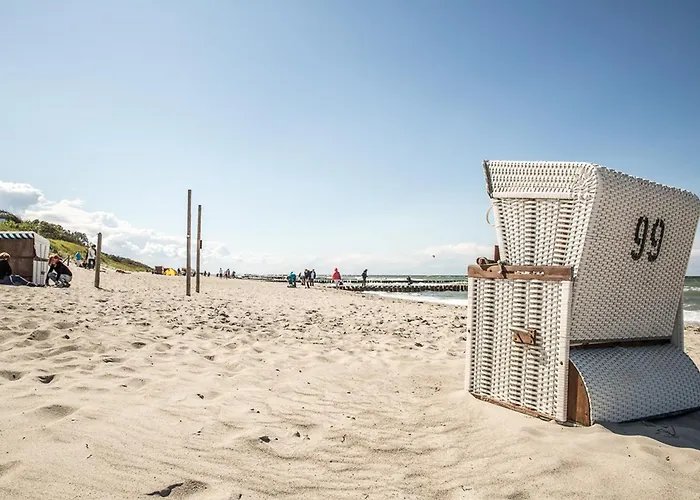 Schilfrohrsaenger 28 Fuhlendorf (Mecklenburg-Vorpommern)