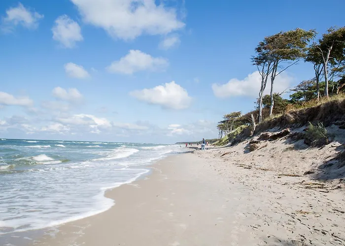 Prázdninový dům Schilfrohrsaenger 28