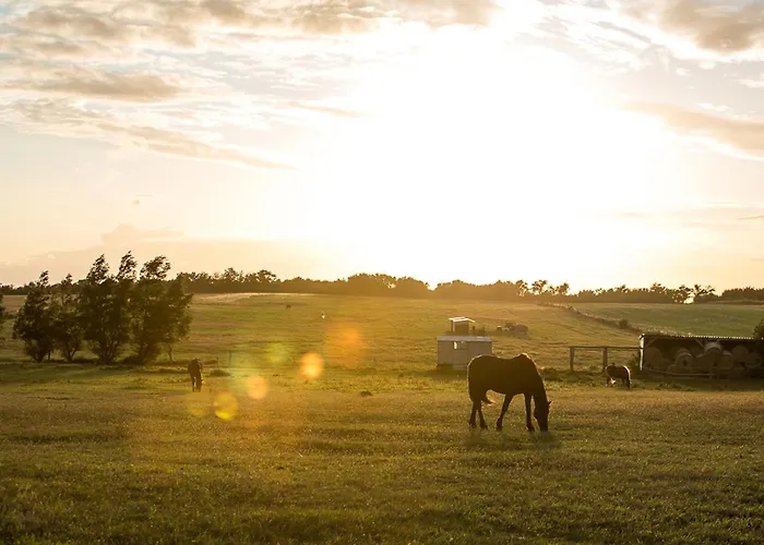 Schilfrohrsaenger 28 Prázdninový dům *