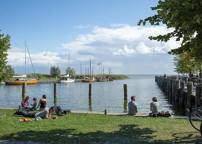 Schilfrohrsaenger 28 * Fuhlendorf (Mecklenburg-Vorpommern)