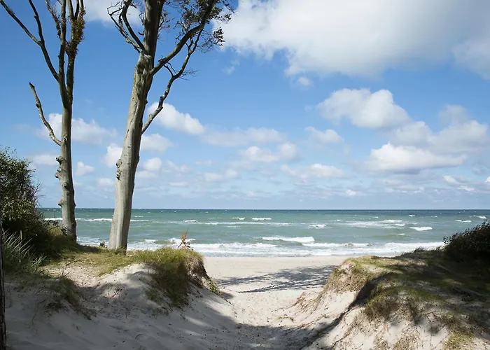 Schilfrohrsaenger 28