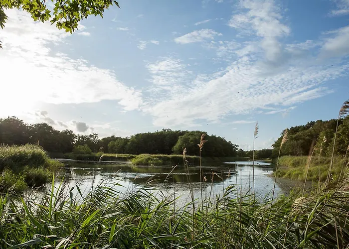 Prázdninový dům Schilfrohrsaenger 28 Fuhlendorf (Mecklenburg-Vorpommern)