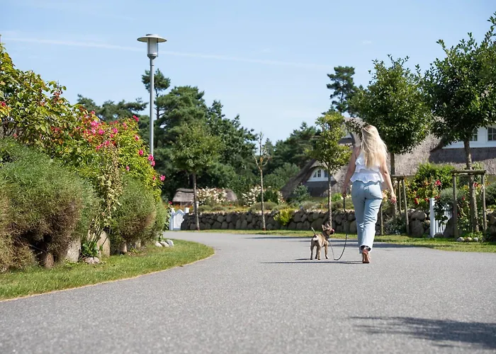 Schilfrohrsaenger 28 Prázdninový dům *